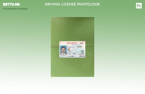 модерен стил, САД, Мисури, возачка дозвола го претставува предниот шаблон со pho